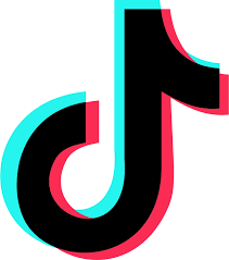 tiktok enter scarves